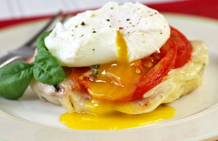 Healthy breakfast egg muffin